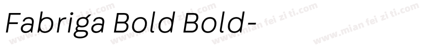 Fabriga Bold Bold字体转换